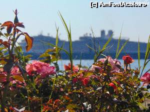 P01 [OCT-2015] O poza pe care eu o iubesc la nebunie... vasul in spate si florile... uhh... i love Kusadasi