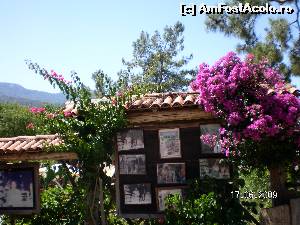 [P48] Intrarea la ştrand cu multă bougainvillea » foto by irinad
 - 
<span class="allrVoted glyphicon glyphicon-heart hidden" id="av615056"></span>
<a class="m-l-10 hidden" id="sv615056" onclick="voting_Foto_DelVot(,615056,3186)" role="button">șterge vot <span class="glyphicon glyphicon-remove"></span></a>
<a id="v9615056" class=" c-red"  onclick="voting_Foto_SetVot(615056)" role="button"><span class="glyphicon glyphicon-heart-empty"></span> <b>LIKE</b> = Votează poza</a> <img class="hidden"  id="f615056W9" src="/imagini/loader.gif" border="0" /><span class="AjErrMes hidden" id="e615056ErM"></span>