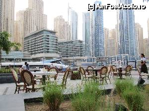 [P53] Dubai Marina » foto by feliciarosca
 - 
<span class="allrVoted glyphicon glyphicon-heart hidden" id="av430140"></span>
<a class="m-l-10 hidden" id="sv430140" onclick="voting_Foto_DelVot(,430140,3199)" role="button">șterge vot <span class="glyphicon glyphicon-remove"></span></a>
<a id="v9430140" class=" c-red"  onclick="voting_Foto_SetVot(430140)" role="button"><span class="glyphicon glyphicon-heart-empty"></span> <b>LIKE</b> = Votează poza</a> <img class="hidden"  id="f430140W9" src="/imagini/loader.gif" border="0" /><span class="AjErrMes hidden" id="e430140ErM"></span>