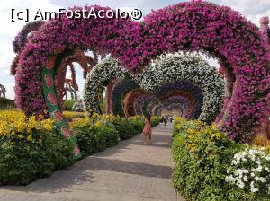 [P04] Miracle Garden, inca o data...  » foto by danaswiss
 - 
<span class="allrVoted glyphicon glyphicon-heart hidden" id="av1159187"></span>
<a class="m-l-10 hidden" id="sv1159187" onclick="voting_Foto_DelVot(,1159187,3199)" role="button">șterge vot <span class="glyphicon glyphicon-remove"></span></a>
<a id="v91159187" class=" c-red"  onclick="voting_Foto_SetVot(1159187)" role="button"><span class="glyphicon glyphicon-heart-empty"></span> <b>LIKE</b> = Votează poza</a> <img class="hidden"  id="f1159187W9" src="/imagini/loader.gif" border="0" /><span class="AjErrMes hidden" id="e1159187ErM"></span>