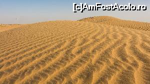 P01 [DEC-2015] Peste dune, prin deșert