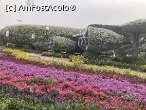 [P05] Avionul acoperit cu flori de la Miracle Garden » foto by micos
 - 
<span class="allrVoted glyphicon glyphicon-heart hidden" id="av1434691"></span>
<a class="m-l-10 hidden" id="sv1434691" onclick="voting_Foto_DelVot(,1434691,3199)" role="button">șterge vot <span class="glyphicon glyphicon-remove"></span></a>
<a id="v91434691" class=" c-red"  onclick="voting_Foto_SetVot(1434691)" role="button"><span class="glyphicon glyphicon-heart-empty"></span> <b>LIKE</b> = Votează poza</a> <img class="hidden"  id="f1434691W9" src="/imagini/loader.gif" border="0" /><span class="AjErrMes hidden" id="e1434691ErM"></span>