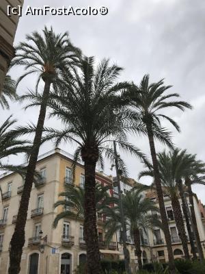 P13 [SEP-2019] Hai hui prin Alicante - printre palmieri