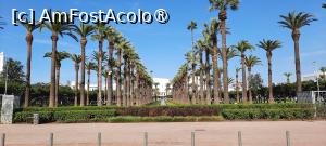 [P38] Casablanca, Parcul Ligii Arabe » foto by mprofeanu
 - 
<span class="allrVoted glyphicon glyphicon-heart hidden" id="av1472314"></span>
<a class="m-l-10 hidden" id="sv1472314" onclick="voting_Foto_DelVot(,1472314,3221)" role="button">șterge vot <span class="glyphicon glyphicon-remove"></span></a>
<a id="v91472314" class=" c-red"  onclick="voting_Foto_SetVot(1472314)" role="button"><span class="glyphicon glyphicon-heart-empty"></span> <b>LIKE</b> = Votează poza</a> <img class="hidden"  id="f1472314W9" src="/imagini/loader.gif" border="0" /><span class="AjErrMes hidden" id="e1472314ErM"></span>