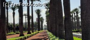[P40] Casablanca, Parcul Ligii Arabe » foto by mprofeanu
 - 
<span class="allrVoted glyphicon glyphicon-heart hidden" id="av1472316"></span>
<a class="m-l-10 hidden" id="sv1472316" onclick="voting_Foto_DelVot(,1472316,3221)" role="button">șterge vot <span class="glyphicon glyphicon-remove"></span></a>
<a id="v91472316" class=" c-red"  onclick="voting_Foto_SetVot(1472316)" role="button"><span class="glyphicon glyphicon-heart-empty"></span> <b>LIKE</b> = Votează poza</a> <img class="hidden"  id="f1472316W9" src="/imagini/loader.gif" border="0" /><span class="AjErrMes hidden" id="e1472316ErM"></span>