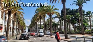[P46] Casablanca, Bulevardul Rachidi » foto by mprofeanu
 - 
<span class="allrVoted glyphicon glyphicon-heart hidden" id="av1472322"></span>
<a class="m-l-10 hidden" id="sv1472322" onclick="voting_Foto_DelVot(,1472322,3221)" role="button">șterge vot <span class="glyphicon glyphicon-remove"></span></a>
<a id="v91472322" class=" c-red"  onclick="voting_Foto_SetVot(1472322)" role="button"><span class="glyphicon glyphicon-heart-empty"></span> <b>LIKE</b> = Votează poza</a> <img class="hidden"  id="f1472322W9" src="/imagini/loader.gif" border="0" /><span class="AjErrMes hidden" id="e1472322ErM"></span>