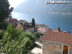 [P47] peisaj din Perast » foto by zlatna
 - 
<span class="allrVoted glyphicon glyphicon-heart hidden" id="av684376"></span>
<a class="m-l-10 hidden" id="sv684376" onclick="voting_Foto_DelVot(,684376,3229)" role="button">șterge vot <span class="glyphicon glyphicon-remove"></span></a>
<a id="v9684376" class=" c-red"  onclick="voting_Foto_SetVot(684376)" role="button"><span class="glyphicon glyphicon-heart-empty"></span> <b>LIKE</b> = Votează poza</a> <img class="hidden"  id="f684376W9" src="/imagini/loader.gif" border="0" /><span class="AjErrMes hidden" id="e684376ErM"></span>