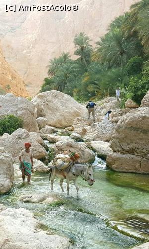 P09 [APR-2016] Prin Wadi Shab, un canion pictat in culori uimitoare! 