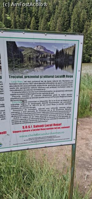 [P28] Lacul Rosu - Informatii pentru turisti. » foto by iulianic
 - 
<span class="allrVoted glyphicon glyphicon-heart hidden" id="av1538309"></span>
<a class="m-l-10 hidden" id="sv1538309" onclick="voting_Foto_DelVot(,1538309,3314)" role="button">șterge vot <span class="glyphicon glyphicon-remove"></span></a>
<a id="v91538309" class=" c-red"  onclick="voting_Foto_SetVot(1538309)" role="button"><span class="glyphicon glyphicon-heart-empty"></span> <b>LIKE</b> = Votează poza</a> <img class="hidden"  id="f1538309W9" src="/imagini/loader.gif" border="0" /><span class="AjErrMes hidden" id="e1538309ErM"></span>