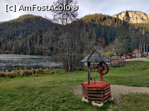 [P02] Lacul Roșu – Poteca Minunilor cu 9 puncte de observare, din Parcul Național Cheile Bicazului - Hășmaș

Hășmașu Mic » foto by Dana2008
 - 
<span class="allrVoted glyphicon glyphicon-heart hidden" id="av1201123"></span>
<a class="m-l-10 hidden" id="sv1201123" onclick="voting_Foto_DelVot(,1201123,3314)" role="button">șterge vot <span class="glyphicon glyphicon-remove"></span></a>
<a id="v91201123" class=" c-red"  onclick="voting_Foto_SetVot(1201123)" role="button"><span class="glyphicon glyphicon-heart-empty"></span> <b>LIKE</b> = Votează poza</a> <img class="hidden"  id="f1201123W9" src="/imagini/loader.gif" border="0" /><span class="AjErrMes hidden" id="e1201123ErM"></span>