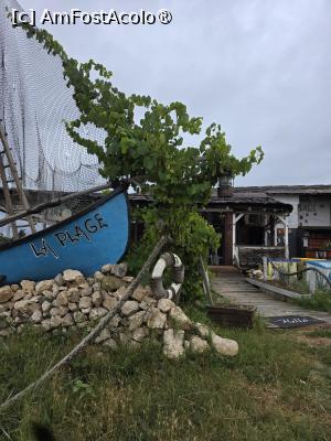 [P09] Intrarea la Cherhanaua La Plage » foto by crismis
 - 
<span class="allrVoted glyphicon glyphicon-heart hidden" id="av1537919"></span>
<a class="m-l-10 hidden" id="sv1537919" onclick="voting_Foto_DelVot(,1537919,3329)" role="button">șterge vot <span class="glyphicon glyphicon-remove"></span></a>
<a id="v91537919" class=" c-red"  onclick="voting_Foto_SetVot(1537919)" role="button"><span class="glyphicon glyphicon-heart-empty"></span> <b>LIKE</b> = Votează poza</a> <img class="hidden"  id="f1537919W9" src="/imagini/loader.gif" border="0" /><span class="AjErrMes hidden" id="e1537919ErM"></span>