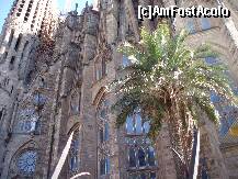 [P08] La Sagrada Familia » foto by DaniX
 - 
<span class="allrVoted glyphicon glyphicon-heart hidden" id="av264008"></span>
<a class="m-l-10 hidden" id="sv264008" onclick="voting_Foto_DelVot(,264008,3356)" role="button">șterge vot <span class="glyphicon glyphicon-remove"></span></a>
<a id="v9264008" class=" c-red"  onclick="voting_Foto_SetVot(264008)" role="button"><span class="glyphicon glyphicon-heart-empty"></span> <b>LIKE</b> = Votează poza</a> <img class="hidden"  id="f264008W9" src="/imagini/loader.gif" border="0" /><span class="AjErrMes hidden" id="e264008ErM"></span>