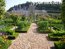 P12 [AUG-2012] Castelul Villandry - o încântare să te poți plimba pe aleile grădinii de legume. 