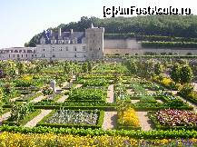 P19 [AUG-2012] Castelul Villandry - grădina de legume - un rezultat spectaculos dat de combinația de flori și legume. 