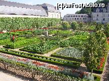P20 [AUG-2012] Castelul Villandry - grădina de legume - un rezultat spectaculos dat de combinația de flori și legume. 