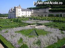 [P26] Castelul Villandry - grădina muzicii în care predomină levănțica și arbuștii tăiați sub formă de sfeșnice.  » foto by doina_c24
 - 
<span class="allrVoted glyphicon glyphicon-heart hidden" id="av419770"></span>
<a class="m-l-10 hidden" id="sv419770" onclick="voting_Foto_DelVot(,419770,3364)" role="button">șterge vot <span class="glyphicon glyphicon-remove"></span></a>
<a id="v9419770" class=" c-red"  onclick="voting_Foto_SetVot(419770)" role="button"><span class="glyphicon glyphicon-heart-empty"></span> <b>LIKE</b> = Votează poza</a> <img class="hidden"  id="f419770W9" src="/imagini/loader.gif" border="0" /><span class="AjErrMes hidden" id="e419770ErM"></span>