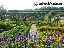 P06 [AUG-2012] Castelul Villandry - legume și flori într-o armonie desăvârșită. 