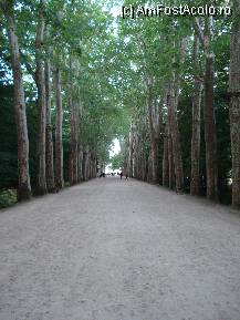 [P03] Franta - Valea Loirei - Chateau Chenonceau. De la intrarea pe domeniu si pana la castel se strabate o alee de platani » foto by Diaura*
 - 
<span class="allrVoted glyphicon glyphicon-heart hidden" id="av211267"></span>
<a class="m-l-10 hidden" id="sv211267" onclick="voting_Foto_DelVot(,211267,3364)" role="button">șterge vot <span class="glyphicon glyphicon-remove"></span></a>
<a id="v9211267" class=" c-red"  onclick="voting_Foto_SetVot(211267)" role="button"><span class="glyphicon glyphicon-heart-empty"></span> <b>LIKE</b> = Votează poza</a> <img class="hidden"  id="f211267W9" src="/imagini/loader.gif" border="0" /><span class="AjErrMes hidden" id="e211267ErM"></span>