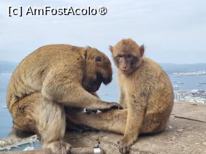 [P20]  -- <small>// FĂRĂ DESCRIERE</small> » foto by Maya_C
 - 
<span class="allrVoted glyphicon glyphicon-heart hidden" id="av1507248"></span>
<a class="m-l-10 hidden" id="sv1507248" onclick="voting_Foto_DelVot(,1507248,3397)" role="button">șterge vot <span class="glyphicon glyphicon-remove"></span></a>
<a id="v91507248" class=" c-red"  onclick="voting_Foto_SetVot(1507248)" role="button"><span class="glyphicon glyphicon-heart-empty"></span> <b>LIKE</b> = Votează poza</a> <img class="hidden"  id="f1507248W9" src="/imagini/loader.gif" border="0" /><span class="AjErrMes hidden" id="e1507248ErM"></span>