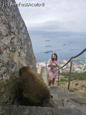 [P26]  -- <small>// FĂRĂ DESCRIERE</small> » foto by Maya_C
 - 
<span class="allrVoted glyphicon glyphicon-heart hidden" id="av1507254"></span>
<a class="m-l-10 hidden" id="sv1507254" onclick="voting_Foto_DelVot(,1507254,3397)" role="button">șterge vot <span class="glyphicon glyphicon-remove"></span></a>
<a id="v91507254" class=" c-red"  onclick="voting_Foto_SetVot(1507254)" role="button"><span class="glyphicon glyphicon-heart-empty"></span> <b>LIKE</b> = Votează poza</a> <img class="hidden"  id="f1507254W9" src="/imagini/loader.gif" border="0" /><span class="AjErrMes hidden" id="e1507254ErM"></span>