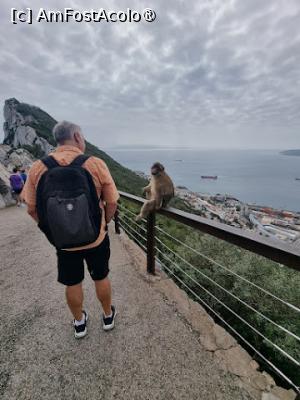 [P30]  -- <small>// FĂRĂ DESCRIERE</small> » foto by Maya_C
 - 
<span class="allrVoted glyphicon glyphicon-heart hidden" id="av1507258"></span>
<a class="m-l-10 hidden" id="sv1507258" onclick="voting_Foto_DelVot(,1507258,3397)" role="button">șterge vot <span class="glyphicon glyphicon-remove"></span></a>
<a id="v91507258" class=" c-red"  onclick="voting_Foto_SetVot(1507258)" role="button"><span class="glyphicon glyphicon-heart-empty"></span> <b>LIKE</b> = Votează poza</a> <img class="hidden"  id="f1507258W9" src="/imagini/loader.gif" border="0" /><span class="AjErrMes hidden" id="e1507258ErM"></span>