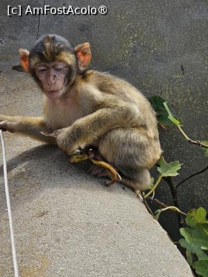 [P37]  -- <small>// FĂRĂ DESCRIERE</small> » foto by Maya_C
 - 
<span class="allrVoted glyphicon glyphicon-heart hidden" id="av1507265"></span>
<a class="m-l-10 hidden" id="sv1507265" onclick="voting_Foto_DelVot(,1507265,3397)" role="button">șterge vot <span class="glyphicon glyphicon-remove"></span></a>
<a id="v91507265" class=" c-red"  onclick="voting_Foto_SetVot(1507265)" role="button"><span class="glyphicon glyphicon-heart-empty"></span> <b>LIKE</b> = Votează poza</a> <img class="hidden"  id="f1507265W9" src="/imagini/loader.gif" border="0" /><span class="AjErrMes hidden" id="e1507265ErM"></span>