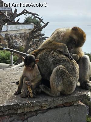 [P38]  -- <small>// FĂRĂ DESCRIERE</small> » foto by Maya_C
 - 
<span class="allrVoted glyphicon glyphicon-heart hidden" id="av1507266"></span>
<a class="m-l-10 hidden" id="sv1507266" onclick="voting_Foto_DelVot(,1507266,3397)" role="button">șterge vot <span class="glyphicon glyphicon-remove"></span></a>
<a id="v91507266" class=" c-red"  onclick="voting_Foto_SetVot(1507266)" role="button"><span class="glyphicon glyphicon-heart-empty"></span> <b>LIKE</b> = Votează poza</a> <img class="hidden"  id="f1507266W9" src="/imagini/loader.gif" border="0" /><span class="AjErrMes hidden" id="e1507266ErM"></span>