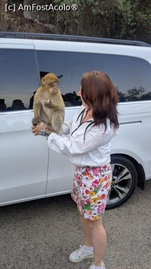 [P39]  -- <small>// FĂRĂ DESCRIERE</small> » foto by Maya_C
 - 
<span class="allrVoted glyphicon glyphicon-heart hidden" id="av1507267"></span>
<a class="m-l-10 hidden" id="sv1507267" onclick="voting_Foto_DelVot(,1507267,3397)" role="button">șterge vot <span class="glyphicon glyphicon-remove"></span></a>
<a id="v91507267" class=" c-red"  onclick="voting_Foto_SetVot(1507267)" role="button"><span class="glyphicon glyphicon-heart-empty"></span> <b>LIKE</b> = Votează poza</a> <img class="hidden"  id="f1507267W9" src="/imagini/loader.gif" border="0" /><span class="AjErrMes hidden" id="e1507267ErM"></span>