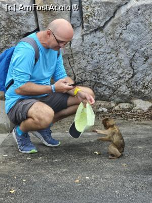 [P04]  -- <small>// FĂRĂ DESCRIERE</small> » foto by Maya_C
 - 
<span class="allrVoted glyphicon glyphicon-heart hidden" id="av1507232"></span>
<a class="m-l-10 hidden" id="sv1507232" onclick="voting_Foto_DelVot(,1507232,3397)" role="button">șterge vot <span class="glyphicon glyphicon-remove"></span></a>
<a id="v91507232" class=" c-red"  onclick="voting_Foto_SetVot(1507232)" role="button"><span class="glyphicon glyphicon-heart-empty"></span> <b>LIKE</b> = Votează poza</a> <img class="hidden"  id="f1507232W9" src="/imagini/loader.gif" border="0" /><span class="AjErrMes hidden" id="e1507232ErM"></span>