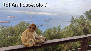 [P41]  -- <small>// FĂRĂ DESCRIERE</small> » foto by Maya_C
 - 
<span class="allrVoted glyphicon glyphicon-heart hidden" id="av1507269"></span>
<a class="m-l-10 hidden" id="sv1507269" onclick="voting_Foto_DelVot(,1507269,3397)" role="button">șterge vot <span class="glyphicon glyphicon-remove"></span></a>
<a id="v91507269" class=" c-red"  onclick="voting_Foto_SetVot(1507269)" role="button"><span class="glyphicon glyphicon-heart-empty"></span> <b>LIKE</b> = Votează poza</a> <img class="hidden"  id="f1507269W9" src="/imagini/loader.gif" border="0" /><span class="AjErrMes hidden" id="e1507269ErM"></span>