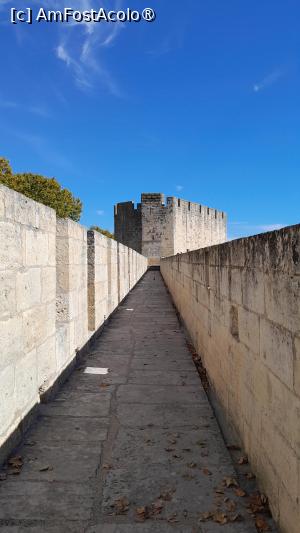 [P12] fortareata Aigues-Mortes, sus pe ziduri » foto by Yolanda
 - 
<span class="allrVoted glyphicon glyphicon-heart hidden" id="av1503363"></span>
<a class="m-l-10 hidden" id="sv1503363" onclick="voting_Foto_DelVot(,1503363,3404)" role="button">șterge vot <span class="glyphicon glyphicon-remove"></span></a>
<a id="v91503363" class=" c-red"  onclick="voting_Foto_SetVot(1503363)" role="button"><span class="glyphicon glyphicon-heart-empty"></span> <b>LIKE</b> = Votează poza</a> <img class="hidden"  id="f1503363W9" src="/imagini/loader.gif" border="0" /><span class="AjErrMes hidden" id="e1503363ErM"></span>