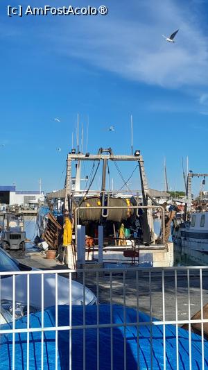 [P36] Le Grau du Roi, vase de pescuit » foto by Yolanda
 - 
<span class="allrVoted glyphicon glyphicon-heart hidden" id="av1503387"></span>
<a class="m-l-10 hidden" id="sv1503387" onclick="voting_Foto_DelVot(,1503387,3404)" role="button">șterge vot <span class="glyphicon glyphicon-remove"></span></a>
<a id="v91503387" class=" c-red"  onclick="voting_Foto_SetVot(1503387)" role="button"><span class="glyphicon glyphicon-heart-empty"></span> <b>LIKE</b> = Votează poza</a> <img class="hidden"  id="f1503387W9" src="/imagini/loader.gif" border="0" /><span class="AjErrMes hidden" id="e1503387ErM"></span>