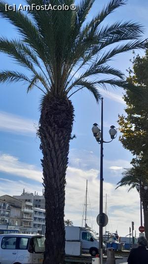 [P38] Le Grau du Roi » foto by Yolanda
 - 
<span class="allrVoted glyphicon glyphicon-heart hidden" id="av1503389"></span>
<a class="m-l-10 hidden" id="sv1503389" onclick="voting_Foto_DelVot(,1503389,3404)" role="button">șterge vot <span class="glyphicon glyphicon-remove"></span></a>
<a id="v91503389" class=" c-red"  onclick="voting_Foto_SetVot(1503389)" role="button"><span class="glyphicon glyphicon-heart-empty"></span> <b>LIKE</b> = Votează poza</a> <img class="hidden"  id="f1503389W9" src="/imagini/loader.gif" border="0" /><span class="AjErrMes hidden" id="e1503389ErM"></span>