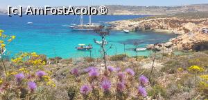 [P30] Laguna albastră - cea mai frumoasă dintre toate frumusetile din Malta » foto by kmy <span class="label label-default labelC_thin small">NEVOTABILĂ</span>