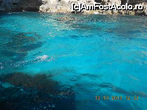 P08 [OCT-2015] Culorile mării, croaziera în insula Gozo. 