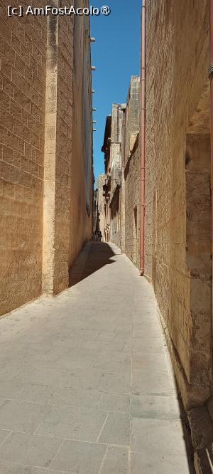 [P18] Mdina » foto by AMC
 - 
<span class="allrVoted glyphicon glyphicon-heart hidden" id="av1537483"></span>
<a class="m-l-10 hidden" id="sv1537483" onclick="voting_Foto_DelVot(,1537483,3405)" role="button">șterge vot <span class="glyphicon glyphicon-remove"></span></a>
<a id="v91537483" class=" c-red"  onclick="voting_Foto_SetVot(1537483)" role="button"><span class="glyphicon glyphicon-heart-empty"></span> <b>LIKE</b> = Votează poza</a> <img class="hidden"  id="f1537483W9" src="/imagini/loader.gif" border="0" /><span class="AjErrMes hidden" id="e1537483ErM"></span>