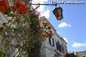 [P36] Mdina » foto by adinasilvia
 - 
<span class="allrVoted glyphicon glyphicon-heart hidden" id="av605663"></span>
<a class="m-l-10 hidden" id="sv605663" onclick="voting_Foto_DelVot(,605663,3405)" role="button">șterge vot <span class="glyphicon glyphicon-remove"></span></a>
<a id="v9605663" class=" c-red"  onclick="voting_Foto_SetVot(605663)" role="button"><span class="glyphicon glyphicon-heart-empty"></span> <b>LIKE</b> = Votează poza</a> <img class="hidden"  id="f605663W9" src="/imagini/loader.gif" border="0" /><span class="AjErrMes hidden" id="e605663ErM"></span>