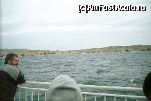 [P03] Malta, insula Comino » foto by Michi
 - 
<span class="allrVoted glyphicon glyphicon-heart hidden" id="av82620"></span>
<a class="m-l-10 hidden" id="sv82620" onclick="voting_Foto_DelVot(,82620,3405)" role="button">șterge vot <span class="glyphicon glyphicon-remove"></span></a>
<a id="v982620" class=" c-red"  onclick="voting_Foto_SetVot(82620)" role="button"><span class="glyphicon glyphicon-heart-empty"></span> <b>LIKE</b> = Votează poza</a> <img class="hidden"  id="f82620W9" src="/imagini/loader.gif" border="0" /><span class="AjErrMes hidden" id="e82620ErM"></span>