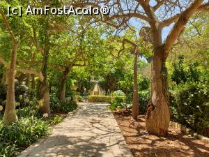 [P05] Ne-am plimbat pe aleile croite printre copaci si flori, inclusiv palmieri, chiparos, pini si plante exotice, portocali. Obiceiul care se pastreaza si astazi este de a oferi demnitarilor care viziteaza tara, un cos cu portocale din aceasta gradina. De asemenea, acestia planteaza cate un copac in memoria vizitei lor aici. » foto by geani anto
 - 
<span class="allrVoted glyphicon glyphicon-heart hidden" id="av1261824"></span>
<a class="m-l-10 hidden" id="sv1261824" onclick="voting_Foto_DelVot(,1261824,3405)" role="button">șterge vot <span class="glyphicon glyphicon-remove"></span></a>
<a id="v91261824" class=" c-red"  onclick="voting_Foto_SetVot(1261824)" role="button"><span class="glyphicon glyphicon-heart-empty"></span> <b>LIKE</b> = Votează poza</a> <img class="hidden"  id="f1261824W9" src="/imagini/loader.gif" border="0" /><span class="AjErrMes hidden" id="e1261824ErM"></span>