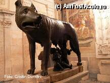 [P26] Muzeele Capitoline - Palazzo dei Conservatori - Lupoaica cu Romulus si Remus - originalul » foto by cristinadumitru*
 - 
<span class="allrVoted glyphicon glyphicon-heart hidden" id="av21599"></span>
<a class="m-l-10 hidden" id="sv21599" onclick="voting_Foto_DelVot(,21599,3406)" role="button">șterge vot <span class="glyphicon glyphicon-remove"></span></a>
<a id="v921599" class=" c-red"  onclick="voting_Foto_SetVot(21599)" role="button"><span class="glyphicon glyphicon-heart-empty"></span> <b>LIKE</b> = Votează poza</a> <img class="hidden"  id="f21599W9" src="/imagini/loader.gif" border="0" /><span class="AjErrMes hidden" id="e21599ErM"></span>