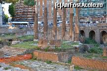 [P03] Largo di Torre Argentina » foto by Muffin2009
 - 
<span class="allrVoted glyphicon glyphicon-heart hidden" id="av325621"></span>
<a class="m-l-10 hidden" id="sv325621" onclick="voting_Foto_DelVot(,325621,3406)" role="button">șterge vot <span class="glyphicon glyphicon-remove"></span></a>
<a id="v9325621" class=" c-red"  onclick="voting_Foto_SetVot(325621)" role="button"><span class="glyphicon glyphicon-heart-empty"></span> <b>LIKE</b> = Votează poza</a> <img class="hidden"  id="f325621W9" src="/imagini/loader.gif" border="0" /><span class="AjErrMes hidden" id="e325621ErM"></span>