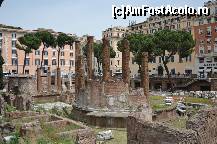 [P04] Largo di Torre Argentina » foto by Muffin2009
 - 
<span class="allrVoted glyphicon glyphicon-heart hidden" id="av325622"></span>
<a class="m-l-10 hidden" id="sv325622" onclick="voting_Foto_DelVot(,325622,3406)" role="button">șterge vot <span class="glyphicon glyphicon-remove"></span></a>
<a id="v9325622" class=" c-red"  onclick="voting_Foto_SetVot(325622)" role="button"><span class="glyphicon glyphicon-heart-empty"></span> <b>LIKE</b> = Votează poza</a> <img class="hidden"  id="f325622W9" src="/imagini/loader.gif" border="0" /><span class="AjErrMes hidden" id="e325622ErM"></span>