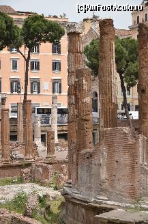 [P06] Largo di Torre Argentina » foto by Muffin2009
 - 
<span class="allrVoted glyphicon glyphicon-heart hidden" id="av325624"></span>
<a class="m-l-10 hidden" id="sv325624" onclick="voting_Foto_DelVot(,325624,3406)" role="button">șterge vot <span class="glyphicon glyphicon-remove"></span></a>
<a id="v9325624" class=" c-red"  onclick="voting_Foto_SetVot(325624)" role="button"><span class="glyphicon glyphicon-heart-empty"></span> <b>LIKE</b> = Votează poza</a> <img class="hidden"  id="f325624W9" src="/imagini/loader.gif" border="0" /><span class="AjErrMes hidden" id="e325624ErM"></span>