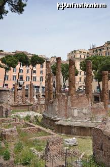 [P07] Largo di Torre Argentina » foto by Muffin2009
 - 
<span class="allrVoted glyphicon glyphicon-heart hidden" id="av325625"></span>
<a class="m-l-10 hidden" id="sv325625" onclick="voting_Foto_DelVot(,325625,3406)" role="button">șterge vot <span class="glyphicon glyphicon-remove"></span></a>
<a id="v9325625" class=" c-red"  onclick="voting_Foto_SetVot(325625)" role="button"><span class="glyphicon glyphicon-heart-empty"></span> <b>LIKE</b> = Votează poza</a> <img class="hidden"  id="f325625W9" src="/imagini/loader.gif" border="0" /><span class="AjErrMes hidden" id="e325625ErM"></span>