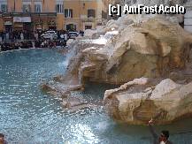 [P20] Roma - Fontana di Trevi - de aici se vede cat este de inalta » foto by Diaura*
 - 
<span class="allrVoted glyphicon glyphicon-heart hidden" id="av311485"></span>
<a class="m-l-10 hidden" id="sv311485" onclick="voting_Foto_DelVot(,311485,3406)" role="button">șterge vot <span class="glyphicon glyphicon-remove"></span></a>
<a id="v9311485" class=" c-red"  onclick="voting_Foto_SetVot(311485)" role="button"><span class="glyphicon glyphicon-heart-empty"></span> <b>LIKE</b> = Votează poza</a> <img class="hidden"  id="f311485W9" src="/imagini/loader.gif" border="0" /><span class="AjErrMes hidden" id="e311485ErM"></span>