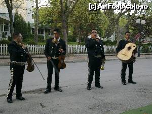 [P01] Seri mexicane cu o trupa minunata de mariachi din Ciudad de Mexico in Albena la restaurantul mexican » foto by Ioana Corches*
 - 
<span class="allrVoted glyphicon glyphicon-heart hidden" id="av428746"></span>
<a class="m-l-10 hidden" id="sv428746" onclick="voting_Foto_DelVot(,428746,3407)" role="button">șterge vot <span class="glyphicon glyphicon-remove"></span></a>
<a id="v9428746" class=" c-red"  onclick="voting_Foto_SetVot(428746)" role="button"><span class="glyphicon glyphicon-heart-empty"></span> <b>LIKE</b> = Votează poza</a> <img class="hidden"  id="f428746W9" src="/imagini/loader.gif" border="0" /><span class="AjErrMes hidden" id="e428746ErM"></span>