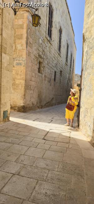 [P34] 34. Noi mergem în continuare, în căutarea obiectivelor noastre. » foto by msnd
 - 
<span class="allrVoted glyphicon glyphicon-heart hidden" id="av1520759"></span>
<a class="m-l-10 hidden" id="sv1520759" onclick="voting_Foto_DelVot(,1520759,3421)" role="button">șterge vot <span class="glyphicon glyphicon-remove"></span></a>
<a id="v91520759" class=" c-red"  onclick="voting_Foto_SetVot(1520759)" role="button"><span class="glyphicon glyphicon-heart-empty"></span> <b>LIKE</b> = Votează poza</a> <img class="hidden"  id="f1520759W9" src="/imagini/loader.gif" border="0" /><span class="AjErrMes hidden" id="e1520759ErM"></span>