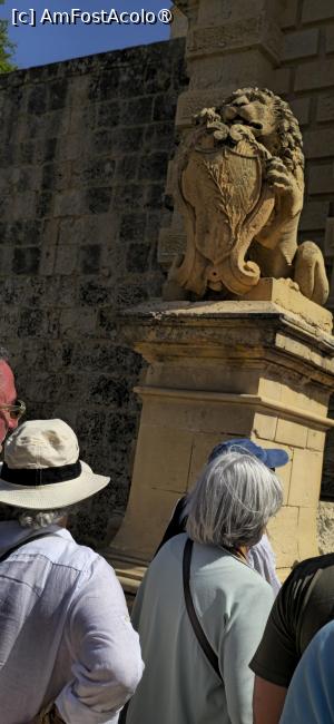 [P06] 06. Poarta este bine păzită. » foto by msnd
 - 
<span class="allrVoted glyphicon glyphicon-heart hidden" id="av1520731"></span>
<a class="m-l-10 hidden" id="sv1520731" onclick="voting_Foto_DelVot(,1520731,3421)" role="button">șterge vot <span class="glyphicon glyphicon-remove"></span></a>
<a id="v91520731" class=" c-red"  onclick="voting_Foto_SetVot(1520731)" role="button"><span class="glyphicon glyphicon-heart-empty"></span> <b>LIKE</b> = Votează poza</a> <img class="hidden"  id="f1520731W9" src="/imagini/loader.gif" border="0" /><span class="AjErrMes hidden" id="e1520731ErM"></span>