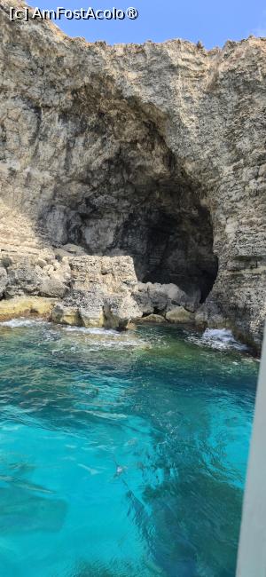 [P11] 11. .... altele sunt mai mari. » foto by msnd
 - 
<span class="allrVoted glyphicon glyphicon-heart hidden" id="av1514193"></span>
<a class="m-l-10 hidden" id="sv1514193" onclick="voting_Foto_DelVot(,1514193,3422)" role="button">șterge vot <span class="glyphicon glyphicon-remove"></span></a>
<a id="v91514193" class=" c-red"  onclick="voting_Foto_SetVot(1514193)" role="button"><span class="glyphicon glyphicon-heart-empty"></span> <b>LIKE</b> = Votează poza</a> <img class="hidden"  id="f1514193W9" src="/imagini/loader.gif" border="0" /><span class="AjErrMes hidden" id="e1514193ErM"></span>