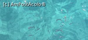 [P27] 27. La plecare, hrănim câteva minute o serie de locuitori permanenți. » foto by msnd
 - 
<span class="allrVoted glyphicon glyphicon-heart hidden" id="av1514209"></span>
<a class="m-l-10 hidden" id="sv1514209" onclick="voting_Foto_DelVot(,1514209,3422)" role="button">șterge vot <span class="glyphicon glyphicon-remove"></span></a>
<a id="v91514209" class=" c-red"  onclick="voting_Foto_SetVot(1514209)" role="button"><span class="glyphicon glyphicon-heart-empty"></span> <b>LIKE</b> = Votează poza</a> <img class="hidden"  id="f1514209W9" src="/imagini/loader.gif" border="0" /><span class="AjErrMes hidden" id="e1514209ErM"></span>